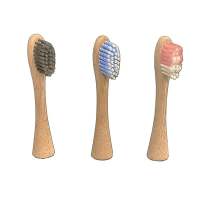 Adult Toothbrush Head Replacement 4 pack (Charcoal/PBT/Nylon 1010)