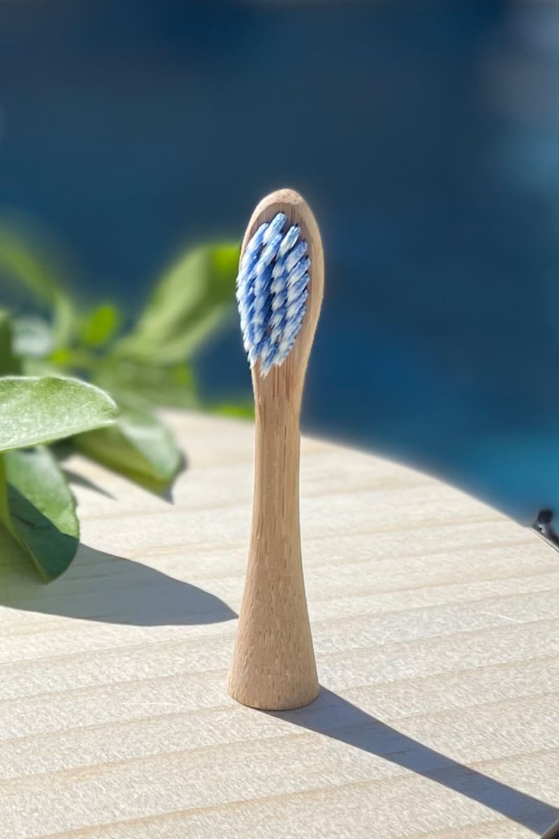 Adult Toothbrush Head Replacement 4 pack (Charcoal/PBT/Nylon 1010)