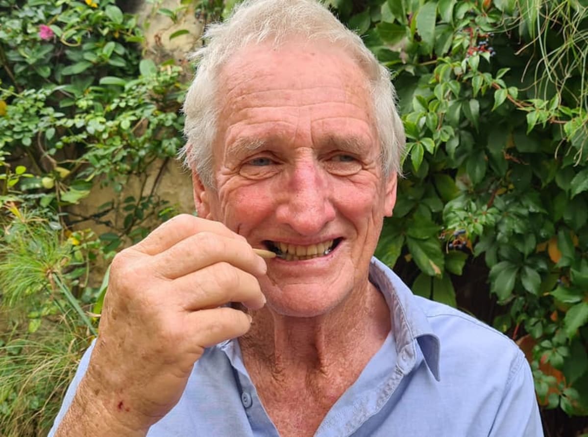 Bamboo Interdental Brushes