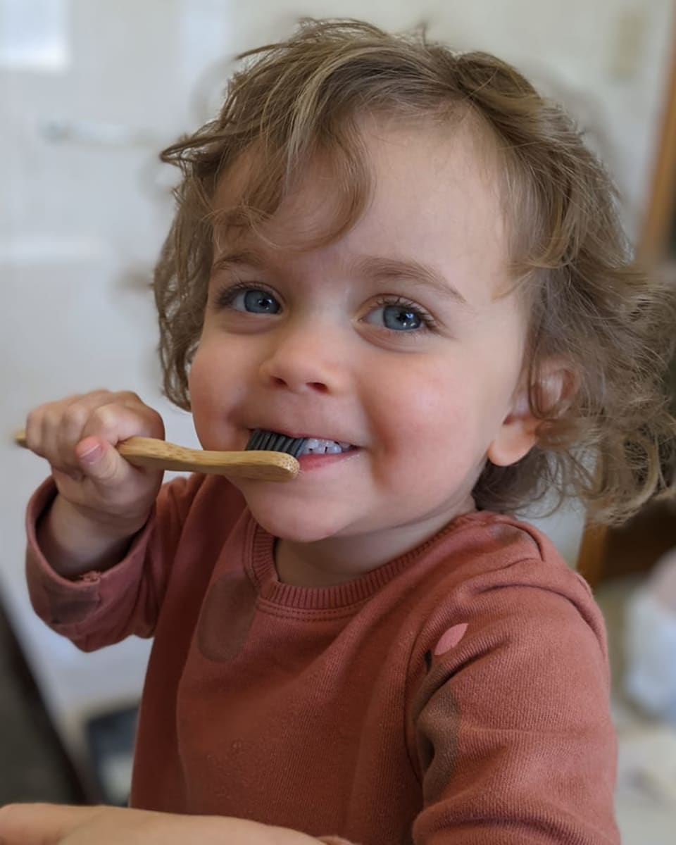 Babies First Tooth Bundle (Age 0-2) With FREE Panda Holder
